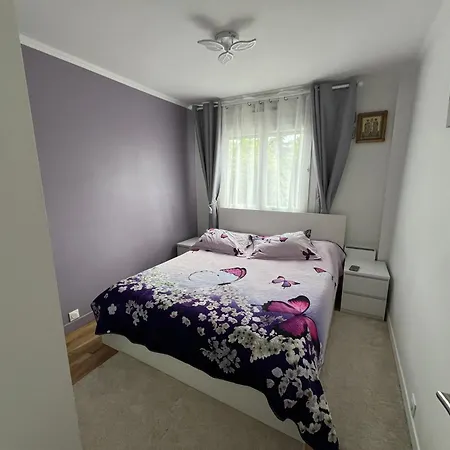 Flat شيل